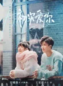 First Love (2022) วุ่นนัก โจทย์รักแรก